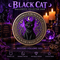 🐈‍⬛ Midnight Cat